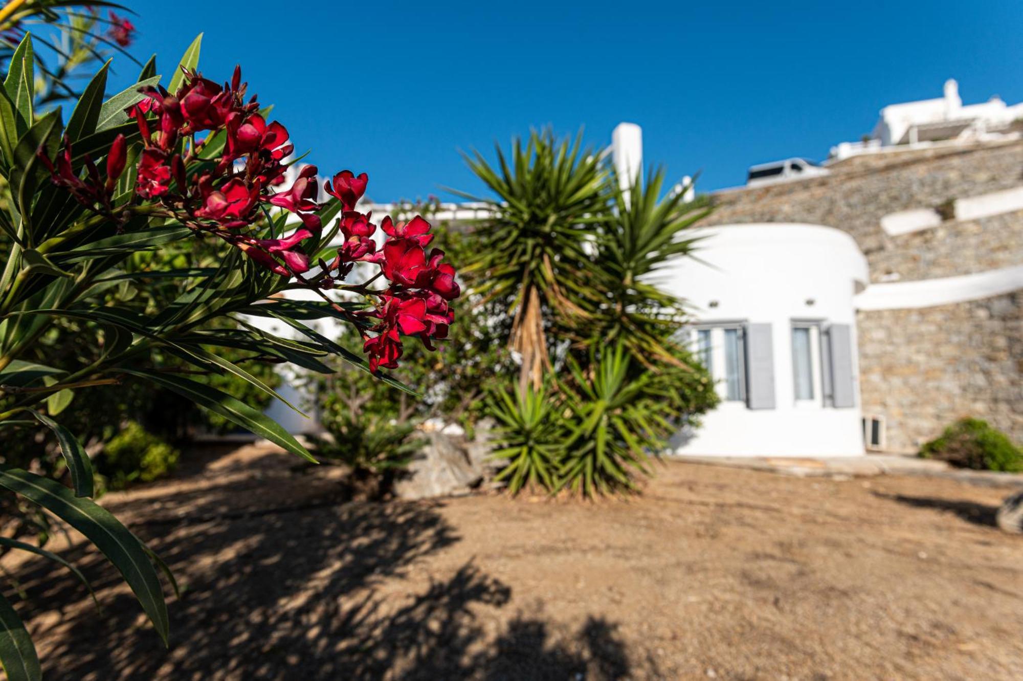 9 Muses Villas Mykonos Ornos  Rum bild