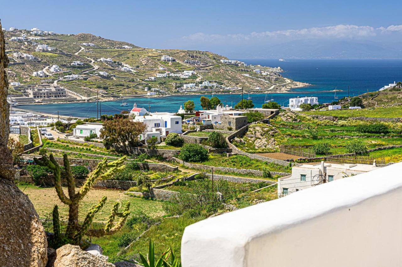 9 Muses Villas Mykonos Ornos  Exteriör bild